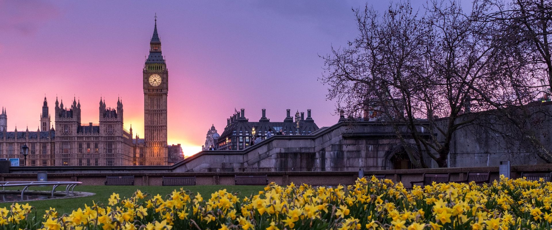 Scopri di più sull'articolo Come funziona il sistema scolastico Inglese?